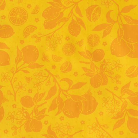 Bountiful | Citrus Tonal Orange