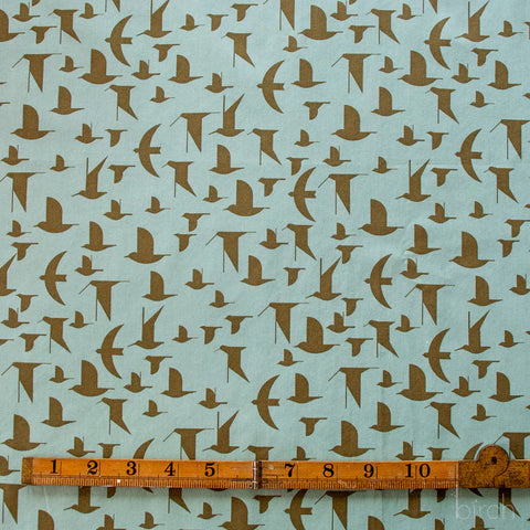 Coastal - Maritime Birds Seagrass