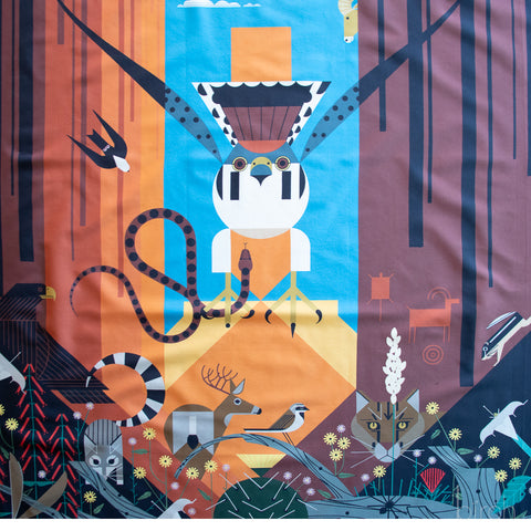 Charley Harper - Canyon Country Poster Panel (36″)