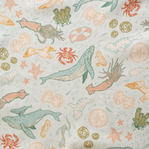 The Wild Coast Lawn 2024:Marine Light Blue Lawn