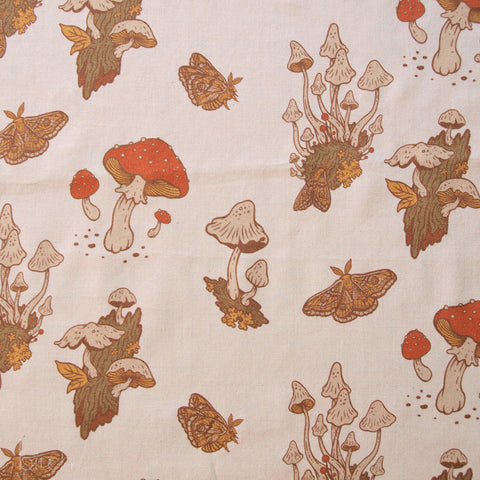 The Wild Coast Lawn 2024:Mushrooms Cream Lawn