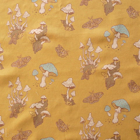 The Wild Coast Lawn 2024:Mushrooms Mustard Lawn