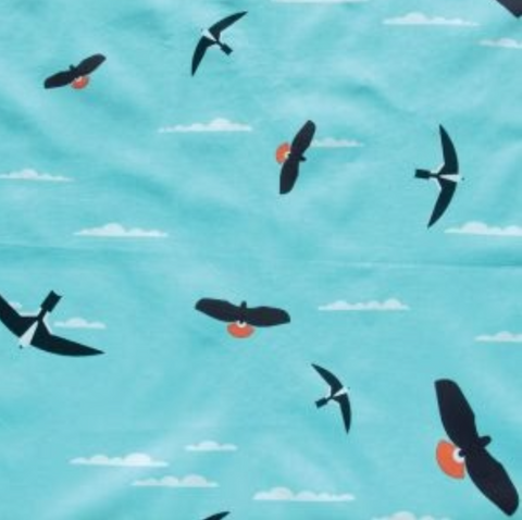 Charley Harper Santa Rosa:Soaring Santa Rosa