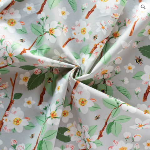 Flowering Trees | Apple Blossom
