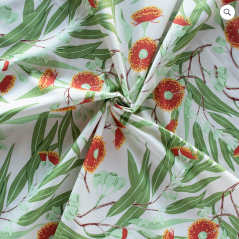 Flowering Trees | Eucalyptus