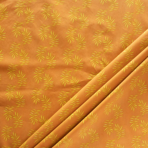 Wild Fronds | Fond Fronds