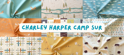 Camp Sur Collection