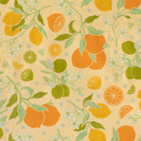 Bountiful | Citrus Vanila