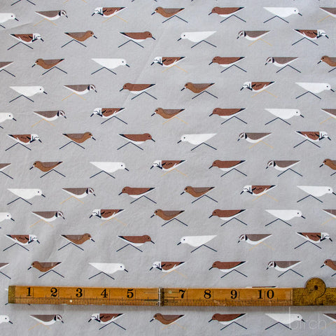 Charley Harper - Coastal