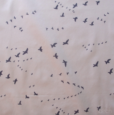 Charley Harper Camp Basics - Flight Ash