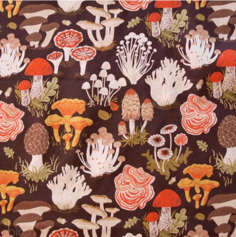 Flourish Lawn - Forage Earth