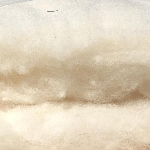 Organic Raw Cotton Stuffing – Walking Lightly